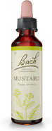 Bach Original Flower Remedies (Mustard) Live The Day, Stay Joyful, Emotional Wellness, Natural Flower Essence, 20ml Bach Original Flower Remedies (Mustard) Live The Day, Stay Joyful, Emotional Wellness, Natural Flower Essence, 20ml
