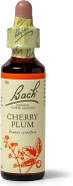 Bach Original Flower Remedies (Mimulus) Face Your Fears, Face Your Fears, Emotional Wellness, Natural Flower Essence, 20ml Bach Original Flower Remedies (Mimulus) Face Your Fears, Face Your Fears, Emotional Wellness, Natural Flower Essence, 20ml
