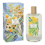 Fragonard Belle De Grasse 100 Ml Eau De Toilette