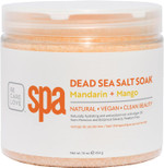 Bcl Spa Dead Sea Salt Soak - Bath Salt With Organic Pink Grapefruit, Shae Butter, Arnica, Aloe Vera Juice, Chamomile, Argan Oil & Jojoba Oil Skin Exfoliator - Home/Professional Use 16 Fl Oz Bcl Spa Dead Sea Salt Soak - Bath Salt With Organic Pink Grapefruit, Shae Butter, Arnica, Aloe Vera Juice, Chamomile, Argan Oil & Jojoba Oil Skin Exfoliator - Home/Professional Use 16 Fl Oz