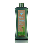 Salerm Biokera Natura Honey Scalp Care Shampoo, 1000 Milliliter