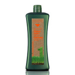 Salerm Biokera Natura Shampoo For Treated Hair, 1000 Milliliter