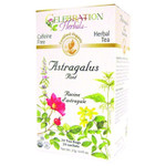 Celebration+Herbals+Teabags+Herbal+Tea+Astragalus+Root+Tea+Organic+-+24+Herbal+Tea+Bags Celebration+Herbals+Teabags+Herbal+Tea+Astragalus+Root+Tea+Organic+-+24+Herbal+Tea+Bags