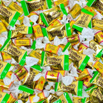 Assortit X Werther'S Collab Original Harvest Pumpkin Spice Soft & Creamy Caramel Candy 1-Lb Bulk Limited Edition Individually Wrapped Fall Treats Perfect For Holidays & Everyday Snacking Assortit X Werther'S Collab Original Harvest Pumpkin Spice Soft & Creamy Caramel Candy 1-Lb Bulk Limited Edition Individually Wrapped Fall Treats Perfect For Holidays & Everyday Snacking