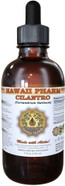 Cilantro (Coriandrum Sativum) Liquid Extract 15X4 Oz