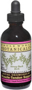Whole World Botanicals, Royal Desmodium, Muscle/Tendon Liquid, 4 Oz