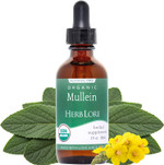 Herb Lore Organic Mullein Tincture Drops - Mullein Leaf Extract For Lungs - Safe For Kids - Alcohol Free (2 Fl Oz) Herb Lore Organic Mullein Tincture Drops - Mullein Leaf Extract For Lungs - Safe For Kids - Alcohol Free (2 Fl Oz)