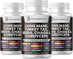 Lions Mane Supplement Cognitive Support, Immune Health With Turkey Tail 20In1 Mushroom Reishi Cordyceps Chaga With Marshmallow Root -180 Count Lions Mane Supplement Cognitive Support, Immune Health With Turkey Tail 20In1 Mushroom Reishi Cordyceps Chaga With Marshmallow Root -180 Count