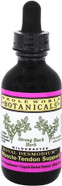 Whole World Botanicals - Royal Desmodium Muscle-Tendon Support - 2 Oz