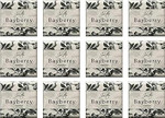 French Milled Botanical Soap Set Of 12 In Fabulous Scents, Individually Wrapped Vegetable Based Mini Soaps With Essential Oils, Shea Butter And Natural Extracts Collection (Bayberry) French Milled Botanical Soap Set Of 12 In Fabulous Scents, Individually Wrapped Vegetable Based Mini Soaps With Essential Oils, Shea Butter And Natural Extracts Collection (Bayberry)
