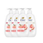 Dove Advanced Care Hand Wash Peach & Rice Milk 4 Count For Washing Away Dirt & Germs While Nourishing Skin 10 Layers Deep, With Moisture Boost 5X Complex Dove Advanced Care Hand Wash Peach & Rice Milk 4 Count For Washing Away Dirt & Germs While Nourishing Skin 10 Layers Deep, With Moisture Boost 5X Complex