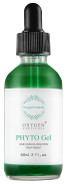 Phyto Gel (60Ml / 2 Fl. Oz)  Korean Oil-Free Facial Serum With Centella Asiatica & Niacinamide, Skin Treatment To Calm And Improve Skin Complexion