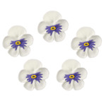 O'Creme Pansy Royal Icing Sugar Flower 1-1/4 Inch - For Cake Decorating - Decorations For Cakes, Cupcake Toppers - Birthday, Wedding, Valentines, Baby Shower - Set Of 16 White O'Creme Pansy Royal Icing Sugar Flower 1-1/4 Inch - For Cake Decorating - Decorations For Cakes, Cupcake Toppers - Birthday, Wedding, Valentines, Baby Shower - Set Of 16 White