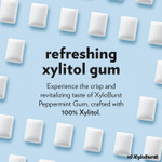 Xyloburst Gum | Xylitol Chewing Gum | Sugar Free, Gluten Free, Keto Friendly | Aspartame Free Gum For Oral Health | Peppermint | 100-Count Jar Xyloburst Gum | Xylitol Chewing Gum | Sugar Free, Gluten Free, Keto Friendly | Aspartame Free Gum For Oral Health | Peppermint | 100-Count Jar