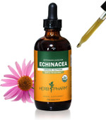 Herb Pharm Certified Organic Echinacea Root Liquid Extract For Immune System Support, Organic Cane Alcohol, 4 Ounce Herb Pharm Certified Organic Echinacea Root Liquid Extract For Immune System Support, Organic Cane Alcohol, 4 Ounce