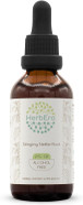Stinging Nettle Root B60 Alcohol-Free Herbal Extract Tincture, Concentrated Liquid Drops Natural Stinging Nettle (Urtica Dioica) 2 Fl Oz Stinging Nettle Root B60 Alcohol-Free Herbal Extract Tincture, Concentrated Liquid Drops Natural Stinging Nettle (Urtica Dioica) 2 Fl Oz