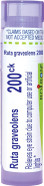 Boiron Ruta Graveolens 200Ck For Eye Strain Due To Computer Use Or Artificial Lights - 80 Pellets Boiron Ruta Graveolens 200Ck For Eye Strain Due To Computer Use Or Artificial Lights - 80 Pellets
