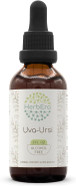 Uva-Ursi B120 Alcohol-Free Herbal Extract Tincture, Concentrated Liquid Drops Natural Uva-Ursi (Arctostaphylos Uva-Ursi) Dried Leaf (4 Fl Oz)