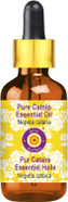 Dève Herbes Pumpkin Seed Oil (Cucurbita Pepo) With Glass Dropper | Cold Pressed | Pure | Natural | For Diluting Essential Oils | Hair, Skin & Massage | Non-Sticky| Lightweight| Unisex | 120Ml (4 Oz)