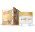 Cicatricure Gold Lift Day Cream, Anti Aging Face Moisturizer With Spf 30, Hydrating Skin Care With Gold, Calcium & Silicon To Lift And Tighten Face Contour 1.7 Ounce Cicatricure Gold Lift Day Cream, Anti Aging Face Moisturizer With Spf 30, Hydrating Skin Care With Gold, Calcium & Silicon To Lift And Tighten Face Contour 1.7 Ounce
