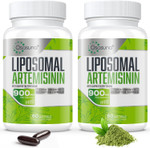 900 Mg Liposomal Artemisinin For Maximum Absorption, Sweet Wormwood Extract(Artemisia Annua) With Quercetin Phytosome 200 Mg, 120 Softgels