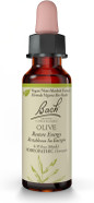Bach Original Flower Remedies, Olive (Non-Alcohol Formula) - Restore Energy - Natural Homeopathic Flower Essence For Emotional Balance - Vegan, Gluten Free, Sugar Free - 10Ml Dropper