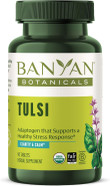 Banyan Botanicals Tulsi (Holy Basil)  Uplifting Adaptogen  Organic Lung And Respiratory Health Supplement*  90 Tablets  Non-Gmo Sustainably Sourced Vegan