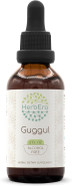 Guggul B120 Alcohol-Free Herbal Extract Tincture, Concentrated Liquid Drops Natural Guggul (Commiphora Mukul) (4 Fl Oz)