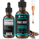 Herbify Poke Root Tincture - Lymphatic Drainage Drops & Immune Support Supplement - Herbal Supplement For Detox Cleanse, Made In Usa - 2 Fl Oz