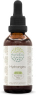 Hydrangea B60 Alcohol-Free Herbal Extract Tincture, Concentrated Liquid Drops Natural Hydrangea (Hydrangea Arborescens) (2 Fl Oz)