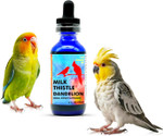 Morning Bird Milk Thistle & Dandelion Extract 2 Fl Oz - Organic Bird Supplement For Optimal Health  Support Liver Heath & Promotes Detox - Suitable For All Birds Species