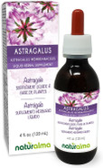 Naturalma Astragalus (Astragalus Membranaceus) Root Alcohol-Free Tincture - 4 Fl Oz Liquid Extract In Drops - Herbal Supplement - Vegan