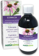 Naturalma Echinacea (Echinacea Angustifolia And Purpurea) Root And Herb Alcohol-Free Tincture - 16.9 Fl Oz Liquid Extract In Drops - Herbal Supplement - Vegan