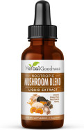 Nootropic 8-In-1 Mushroom Extract Liquid - 1 Fl. Oz Bottle | Lion'S Mane, Reishi, Turkey Tail, Cordyceps, Chaga, Maitake, Shiitake & Oyster Mushroom Tincture | Immune Support & Cognitive Function