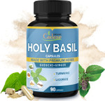 Organic Cadane Holy Basil Supplements Capsules, 5In1 With Guduchi, Ginger, Turmeric Curcumin, Licorice - Support Immune - 90 Capsules For 3 Months