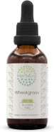 Wheatgrass B60 Alcohol-Free Herbal Extract Tincture, Concentrated Liquid Drops Natural Wheatgrass (Triticum Aestivum) Dried Leaf (2 Fl Oz)