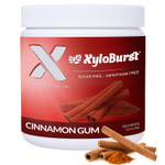 Xyloburst Gum | Xylitol Chewing Gum | Sugar Free, Gluten Free, Keto Friendly | Aspartame Free Gum For Oral Health | Cinnamon | 100-Count Jar