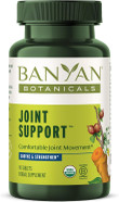 Banyan Botanicals Joint Support  Organic Joint Supplement With Turmeric, Amla & Guggulu Resin  For Healthy Joints & Comfortable Movement*  90 Tablets  Non-Gmo, Sustainably Sourced, Vegan