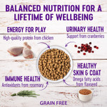 Wellness Natural Pet Food Complete Health Grain-Free Indoor Deboned Chicken Recipe Dry Cat Food, 5.5 Pound Bag Wellness Natural Pet Food Complete Health Grain-Free Indoor Deboned Chicken Recipe Dry Cat Food, 5.5 Pound Bag