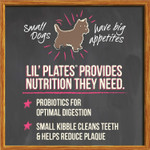 Merrick Lil Plates Grain Free Small Breed Recipe, 4-Pound, Salmon