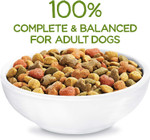 Purina Beneful Healthy Weight Dry Dog Food With Farm-Raised Chicken - 6.3 Lb. Bag6.3 Pound (Pack Of 1) Purina Beneful Healthy Weight Dry Dog Food With Farm-Raised Chicken - 6.3 Lb. Bag6.3 Pound (Pack Of 1)
