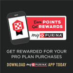 Purina Pro Plan Sport High Protein Puppy Food Beef & Rice Wet Formula - (12) 13 Oz. Cans9.75 Pound (Pack Of 1) Purina Pro Plan Sport High Protein Puppy Food Beef & Rice Wet Formula - (12) 13 Oz. Cans9.75 Pound (Pack Of 1)