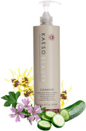 Kaeso Rebalancing Facial Cleanser 495 ml