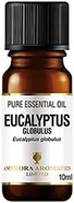 Amphora Aromatics Eucalyptus Essential Oil 10ml