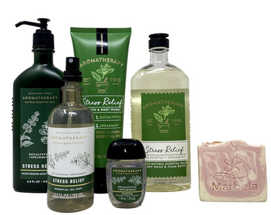 Bath & Body Works Aromatherapy Stress Relief Eucalyptus Spearmint Gift Set Body Lotion - Body Wash + Foam Bath - Body Cream - Essential Oil Mist - Hand Gel - with a Himalayan Salts Springs Sample Soap