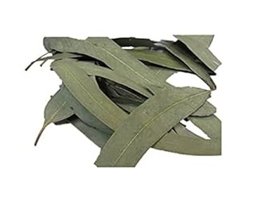 Herbs Of Mexico Eucalyptus (Eucalipto) Leaves 8Oz. Herbal Tea (Pack Of 1)