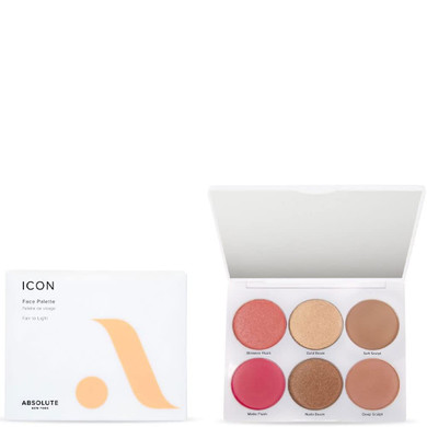 Absolute New York Icon Face Palette (Fair To Light)