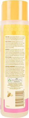 Burt'S Bees For Pets Cat Hypoallergenic Cat Shampoo With Shea Butter & Honey | Best Shampoo For Cats With Dry Or Sensitive Skin | Cruelty Free, Sulfate & Paraben Free, Ph Balanced For Cats - 10Oz