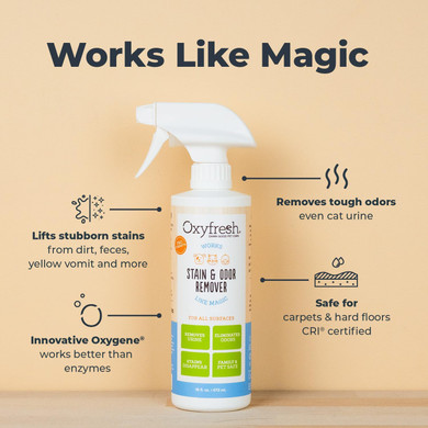 Oxyfresh Advanced Pet Stain Remover & Urine Odor Eliminator  Fast Acting Pet Odor Eliminator For All Surfaces - Best Way To Remove Stains - Dog & Cat Urine Neutralizer