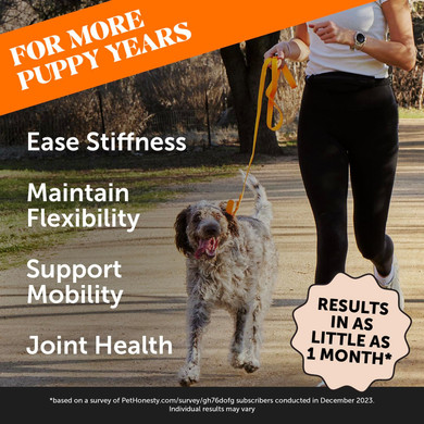 Pet Honesty Hip & Joint Health - Glucosamine For Dogs Soft Chews, Joint Supplement For Dogs With Glucosamine Chondroitin, Fish Oil, Msm, Turmeric, Advanced Pet Joint Support And Mobility (Bacon 90 Ct)